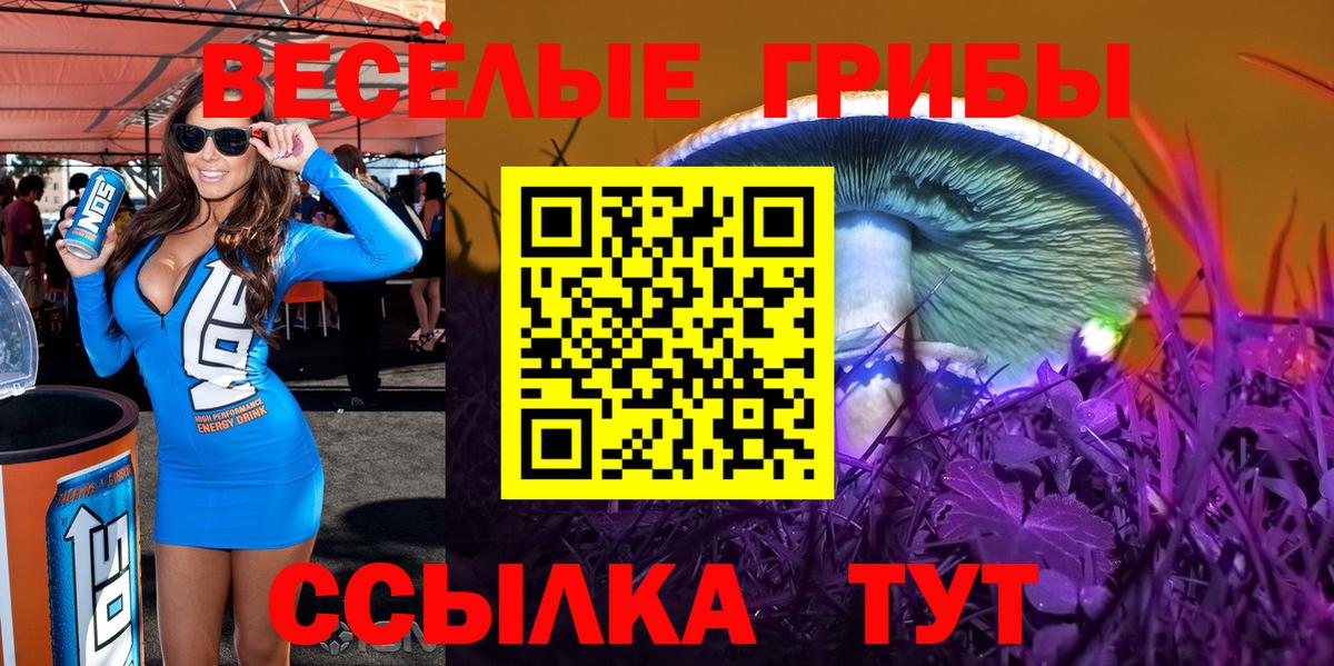 Галлюциногенные грибы прущие грибы  Псилоцибиновые грибы GOLDEN TEACHER  Вход с VPN  Канск 