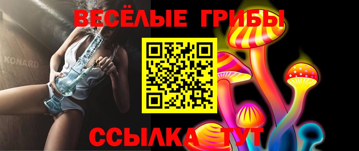 Псилоцибиновые грибы мицелий Канск